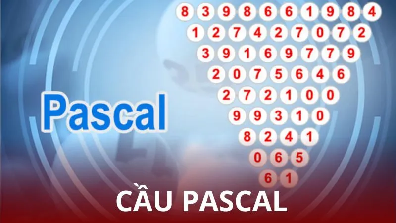 Những cách soi kèo chuẩn hiệu quả nhất mà bạn không nên bỏ qua
