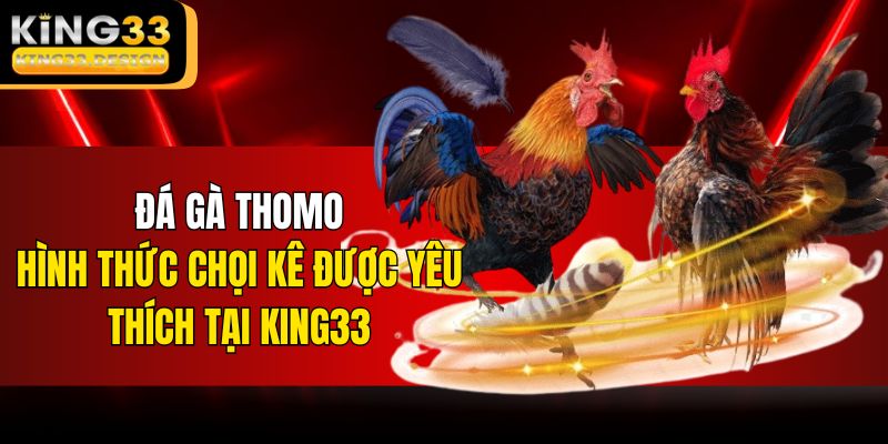 Đá Gà Thomo – Hình Thức Chọi Kê Được Yêu Thích Tại KING33