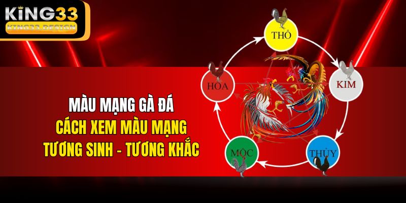 Một số câu hỏi thường gặp khi cược kèo Châu Âu