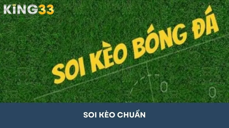 Bật Mí Ngay 5 Cách Soi Kèo Chuẩn Trong Cá Cược Bóng Đá